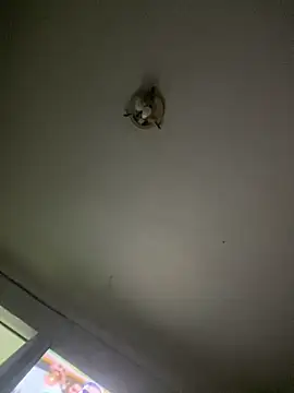 Isabelaa  online show from 03.28.26