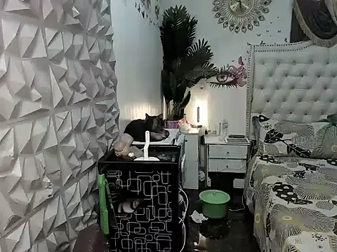 Snapshot of janecomander chatting on 03.02.26 janecomander online show from 03.02.26