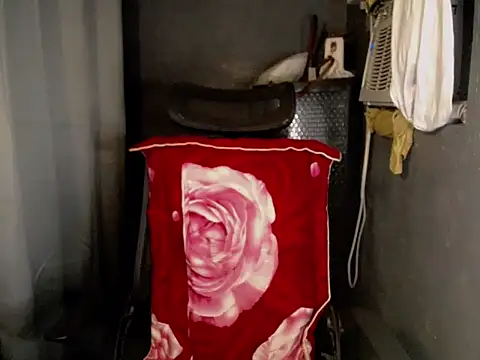 lexie malingera online show from 01.11.26