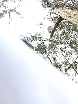 Thomasjons  online show from 04.14.26