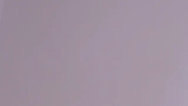 axel davis  online show from 02.24.26