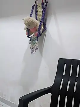 sneha bebo online show from 10.11.25