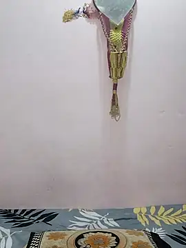 sneha bebo online show from 04.11.26