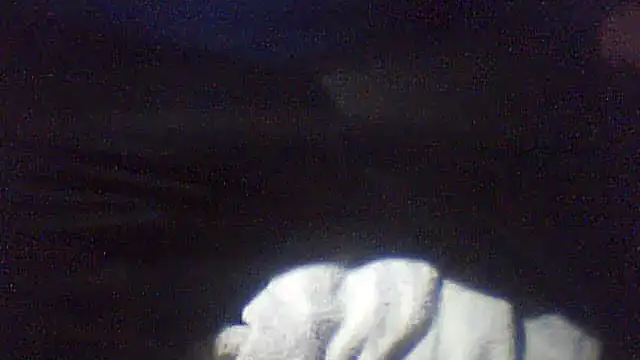 pietje1991 online show from 02.10.26