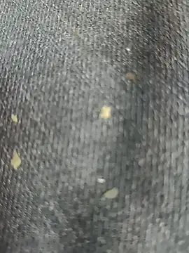 Narckse online show from 09.15.25