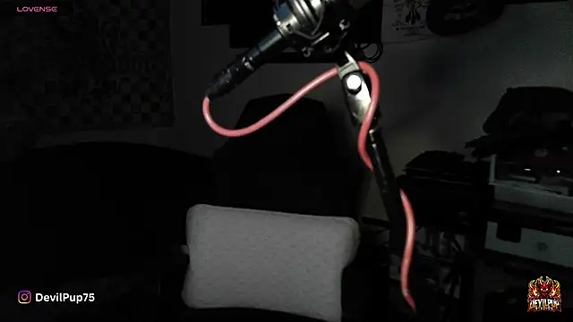 DevilPup75  online show from 01.18.26