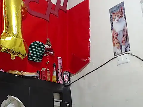 Npga96 online show from 02.20.26