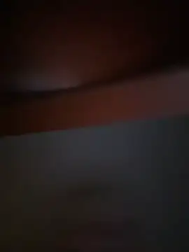 Michel huge online show from 02.06.26