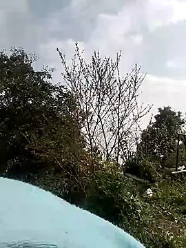 Tiyir597 online show from 03.01.26