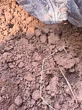 Hot raaani online show from 11.07.25