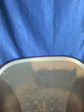 Rashi-48 online show from 11.17.25