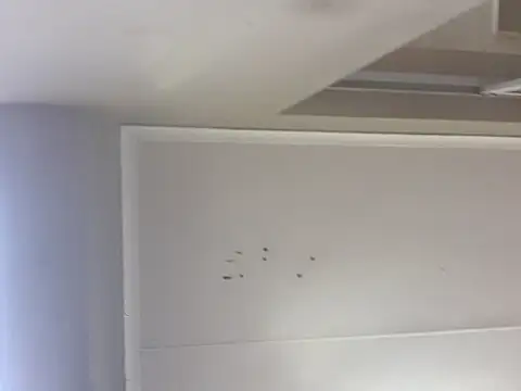 Snapshot of sex-machanic chatting on 11.28.25 sex-machanic online show from 11.28.25