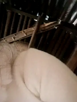 Bianly online show from 11.15.25