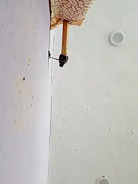 funcreat online show from 09.11.25