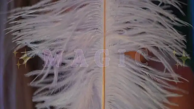 Alvuwkaa online show from 01.10.26