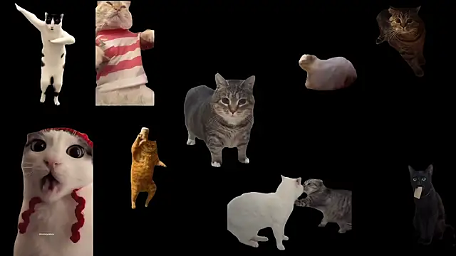 ch0wn m online show from 09.20.25