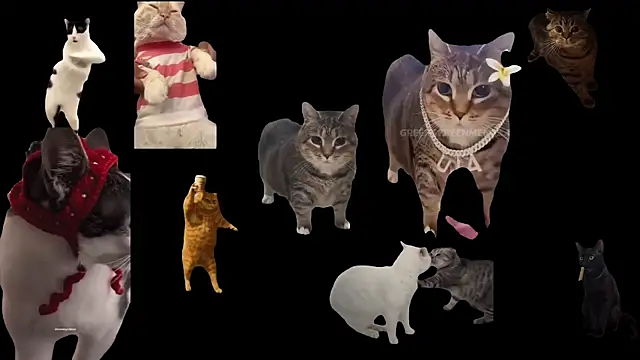 ch0wn m online show from 10.03.25