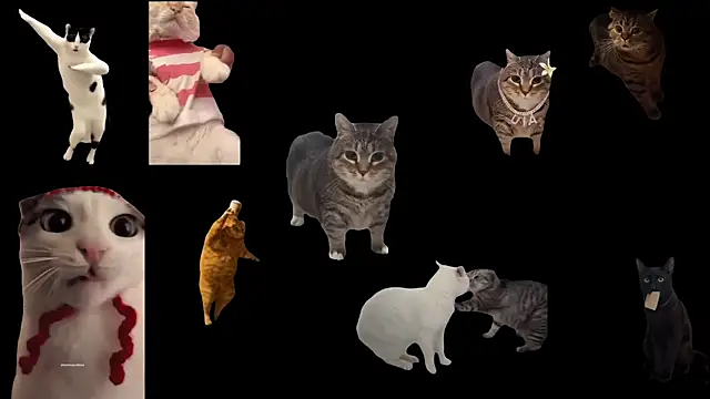 ch0wn m online show from 11.14.25