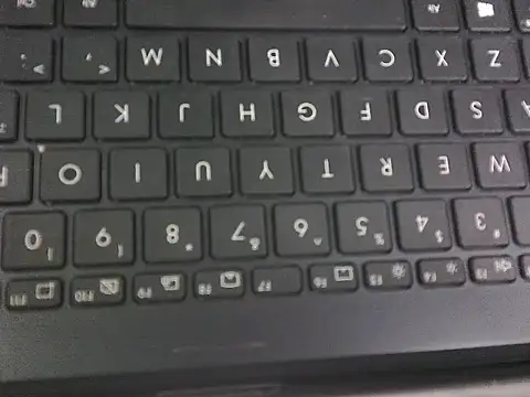 Snapshot of WetWildPussy chatting on 09.23.25 WetWildPussy online show from 09.23.25