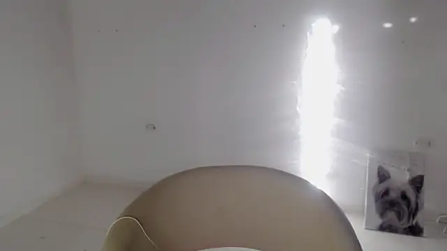 Stein  online show from 09.19.25