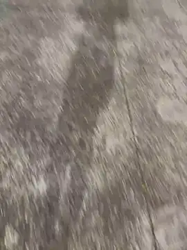 Snapshot of Foxfoxfox4 chatting on 11.28.25 Foxfoxfox4 online show from 11.28.25