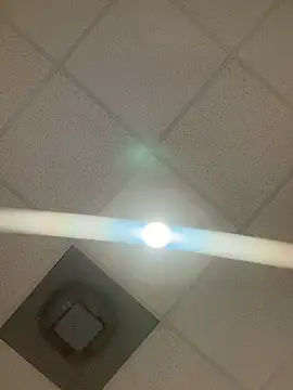 honestlychina online show from 04.13.26