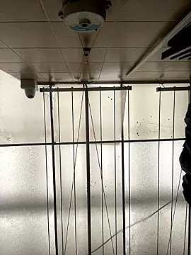 Sallem Pink online show from 01.16.26