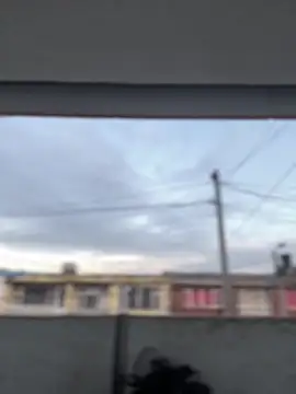 Sallem Pink online show from 03.13.26