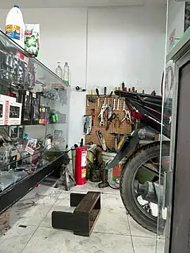 Terra-22cm online show from 02.25.26