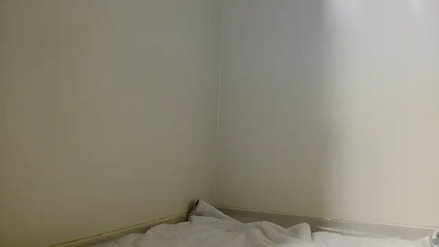 shint-11 online show from 10.19.25