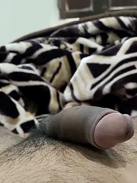 Snapshot of Bull54321 chatting on 02.14.26 Bull54321 online show from 02.14.26