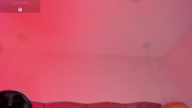 dani velvet online show from 04.16.26