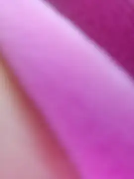 ShineBright88 online show from 10.30.25