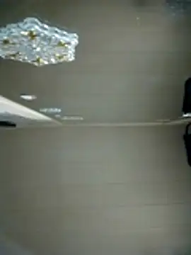 N i k o l a u online show from 04.08.26