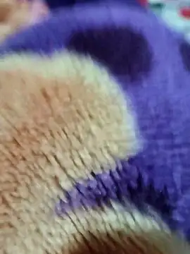 Snapshot of sana-5 chatting on 03.15.26 sana-5 online show from 03.15.26