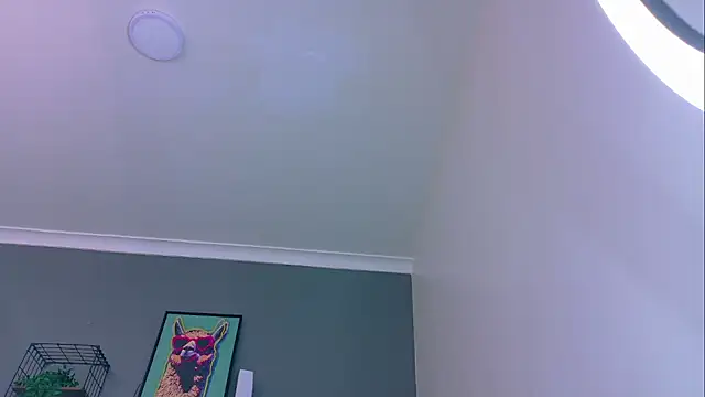 Snapshot of MrFox__ chatting on 05.16.26 MrFox online show from 05.16.26