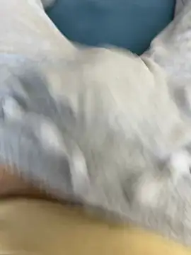 Frankieyyy1 online show from 03.15.26