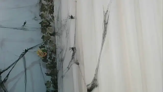 Snapshot of angelainparis28 chatting on 10.21.25 angelainparis28 online show from 10.21.25