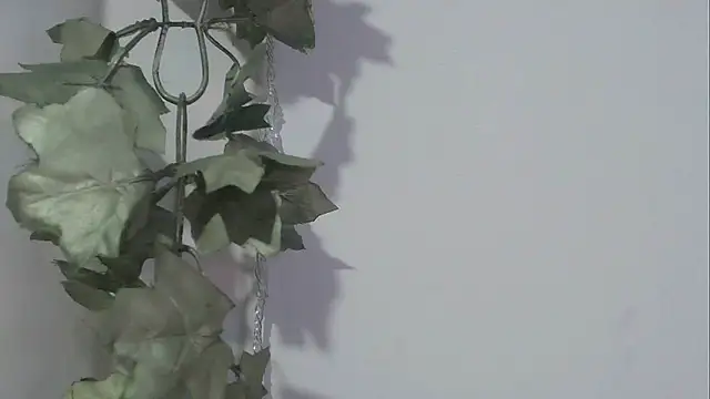 Snapshot of angelainparis28 chatting on 11.17.25 angelainparis28 online show from 11.17.25