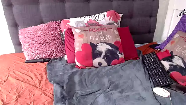 chockclitx5 online show from 03.02.26