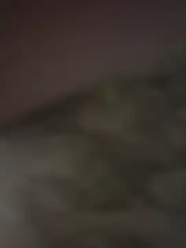 gigoloboymumbai00 online show from 10.23.25