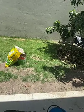 XUCRUTES42 online show from 02.07.26