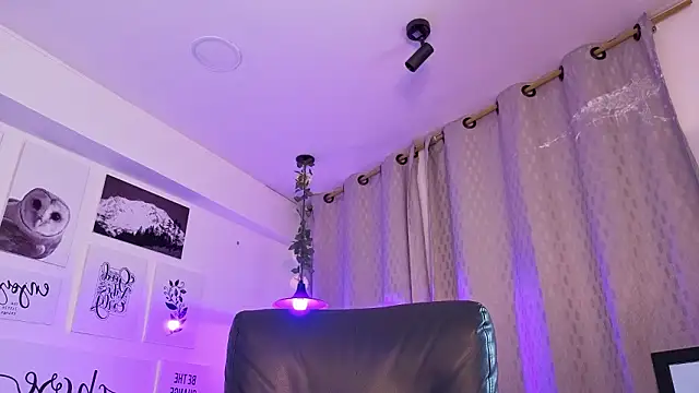 davoxer online show from 02.06.26