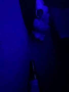 MikeFake online show from 02.19.26