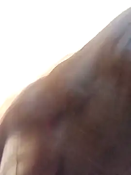 Payal-001 online show from 10.17.25