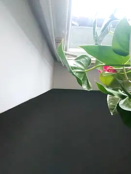 Czarnoksieznik online show from 11.02.25