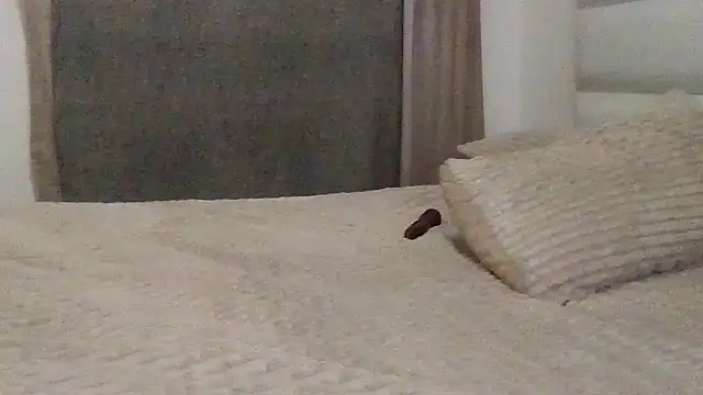 Snapshot of SexyNonnyy chatting on 10.10.25 SexyNonnyy online show from 10.10.25