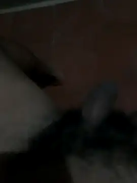 Snapshot of PhlegmySewerage chatting on 10.11.25 PhlegmySewerage online show from 10.11.25