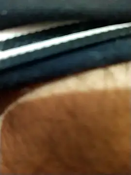 8inches DelhiBOY online show from 11.17.25