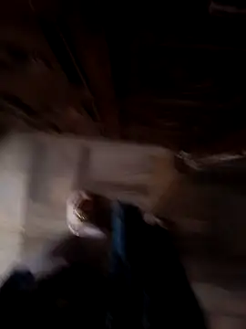 sanu 07 online show from 09.09.25